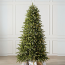 Árvore de Natal -  Norwegian Grand Fir + 700 LEDS